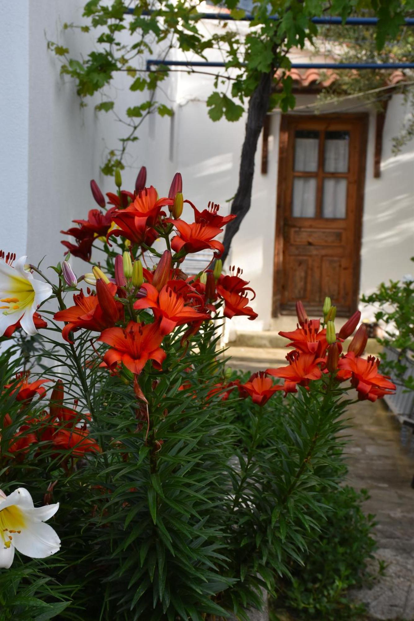 Mirsini Apartments Kariotes Dış mekan fotoğraf