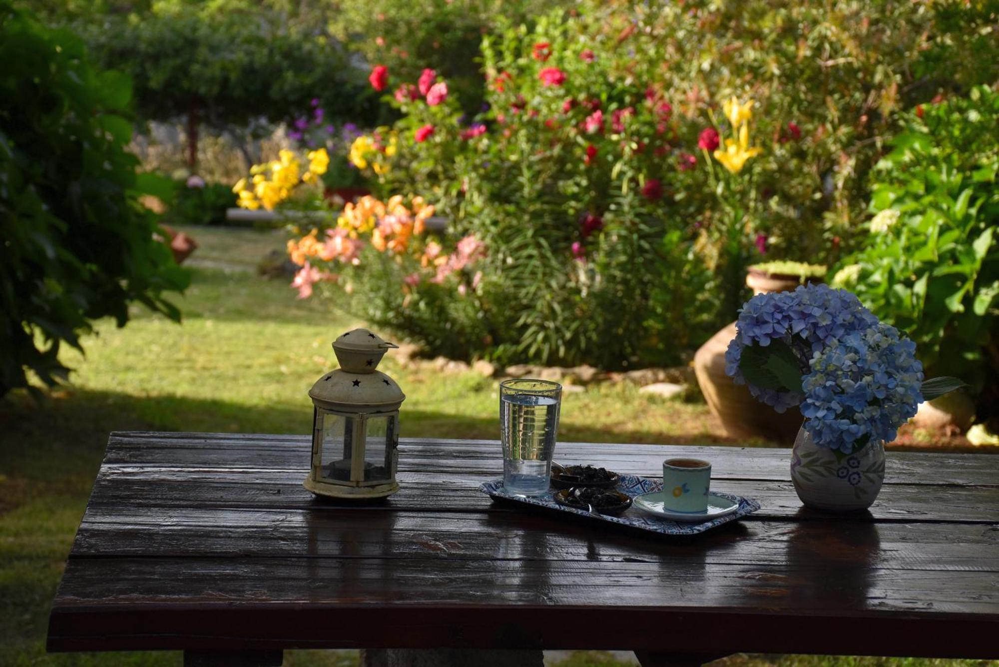 Mirsini Apartments Kariotes Dış mekan fotoğraf