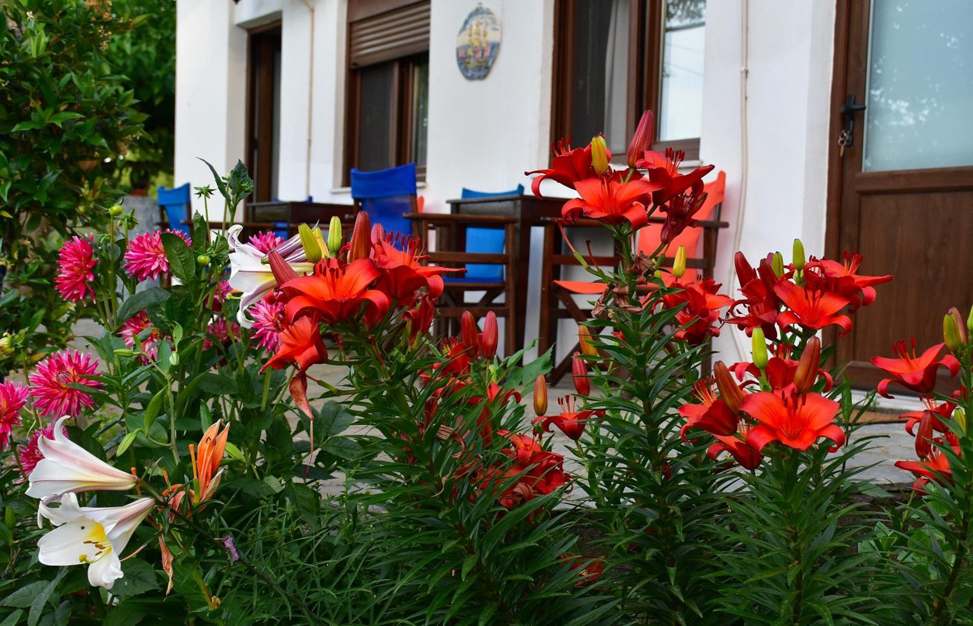 Mirsini Apartments Kariotes Dış mekan fotoğraf