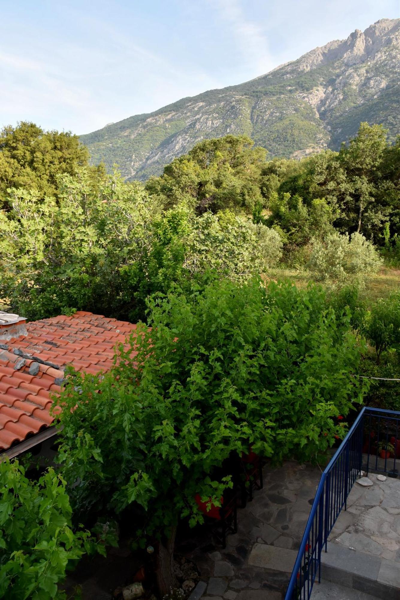 Mirsini Apartments Kariotes Dış mekan fotoğraf