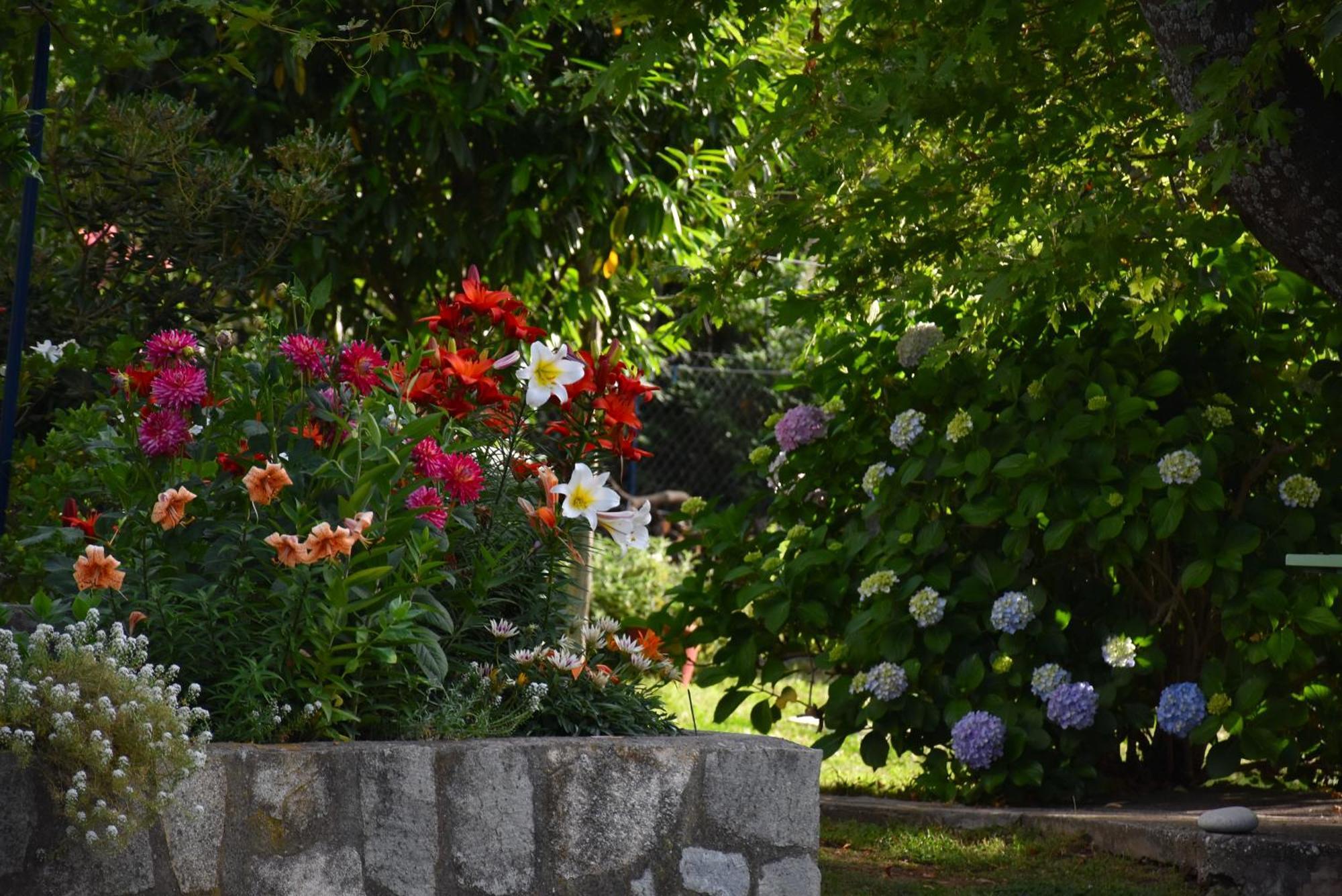 Mirsini Apartments Kariotes Dış mekan fotoğraf